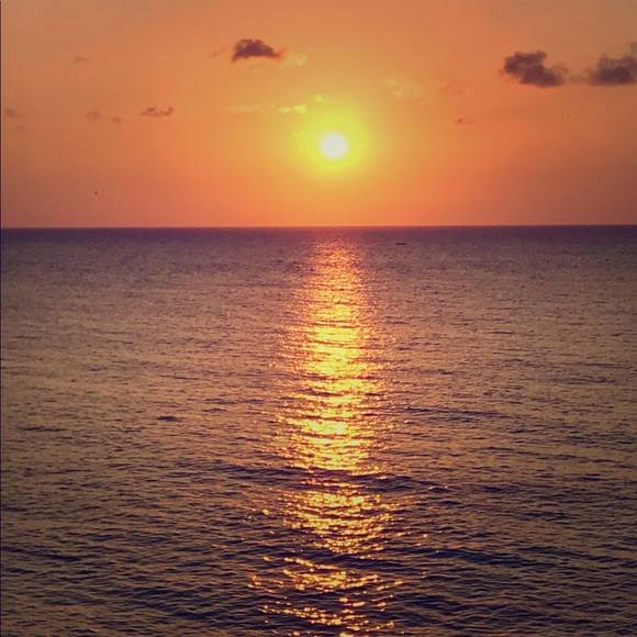 Meet your Posher, Theresa - Picture 1 of 1